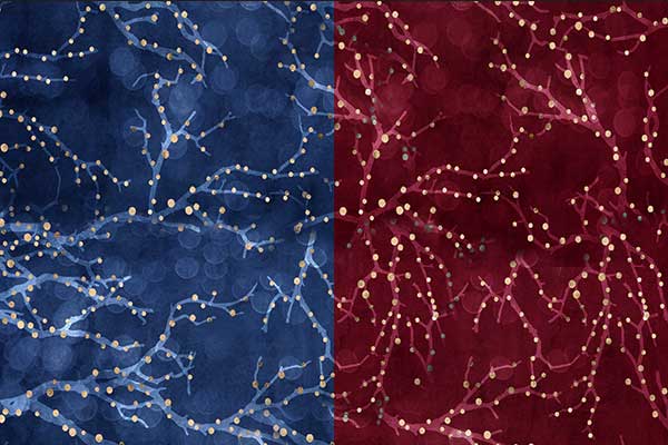 Winter Christmas red and Blue