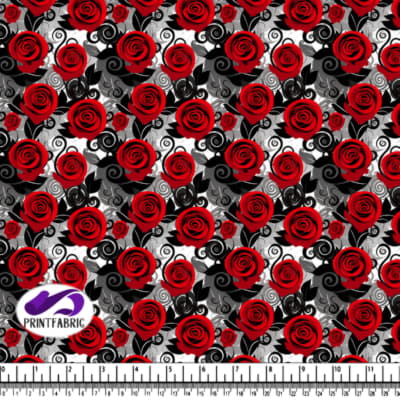 Red Rose in Black and Gray