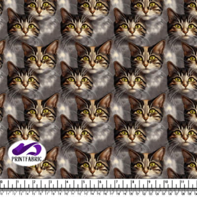 Cats with Yellow Eyes Pattern