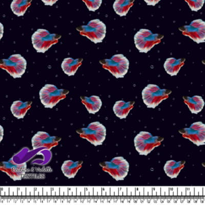 Motif Coloré de Poissons Betta sur Fond Noir