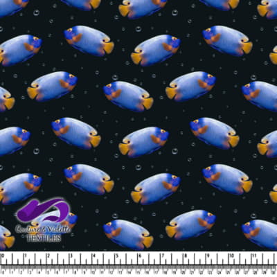 Poisson tropical bleu et jaune sur fond noir