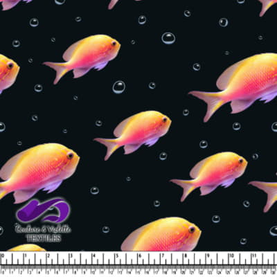 Colorful tropical fish and air bubbles