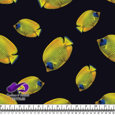 Yellow Tropical Fish on Black Background