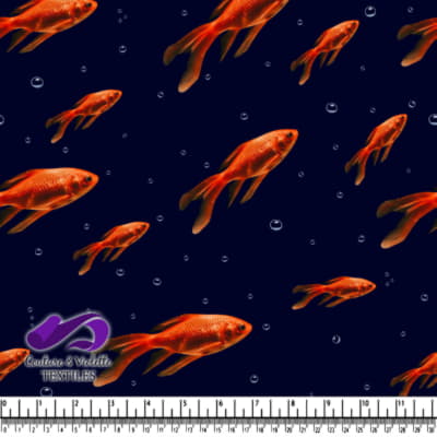 Poissons rouges vibrants nageant dans une eau sombre