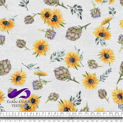 Artichaut et tournesol on background white