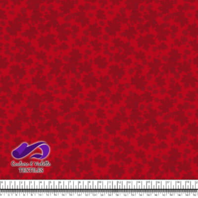 Canada 2022 - Mix leaf on light red