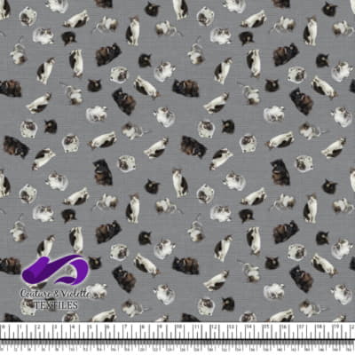 Cat  - Mademoiselle on ultimate gray texture