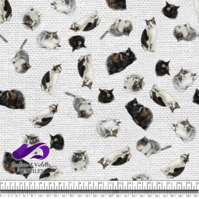 Cat  - Mademoiselle on white texture