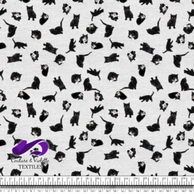 Black cat - White texture