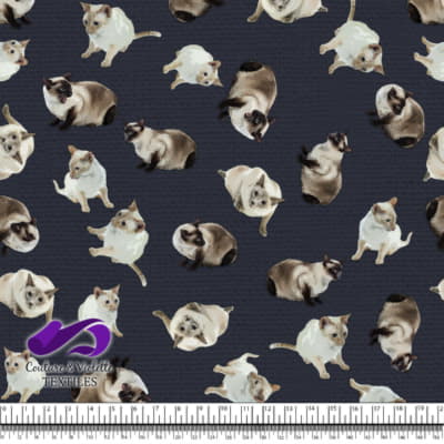 Siamese Cat - After midnight blue