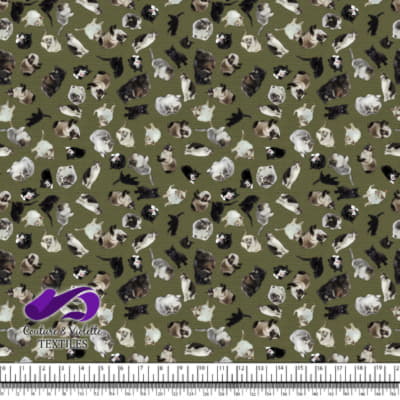 Cat - Cattery on olive texture