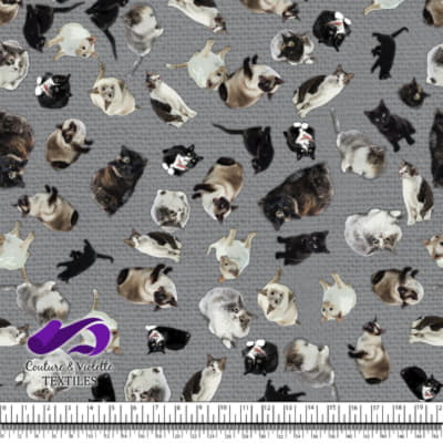 Cat - Cattery on ultimate gray texture