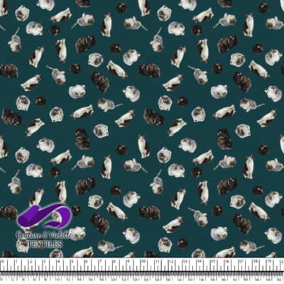 Cat  - Mademoiselle on deep teal texture