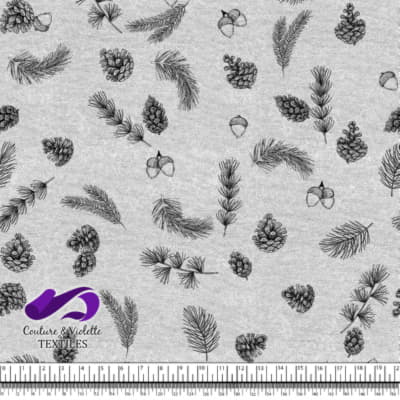 Conifers on White background