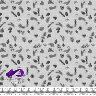 Conifers on White background