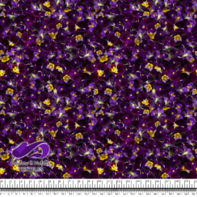 Violettes - King Henry