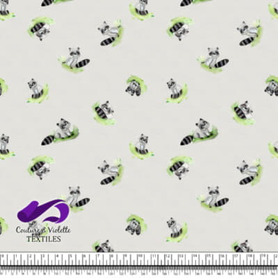 Small animals - Raccoons - Rice milk cloud