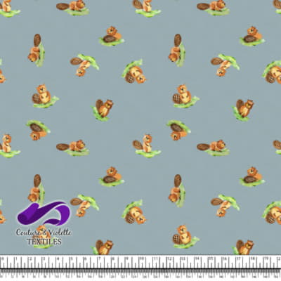 Smalls animals - Beavers - Blue cloud