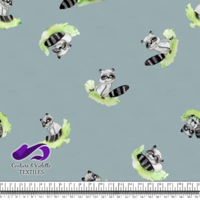 Smalls animals - Raccon - Blue cloud