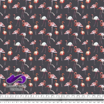 Tropical - Flamingos - Anthracite