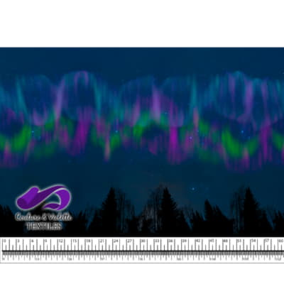 Night sky - Forest with aurora borealis multicolor