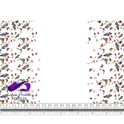 Butterfly - Border - White