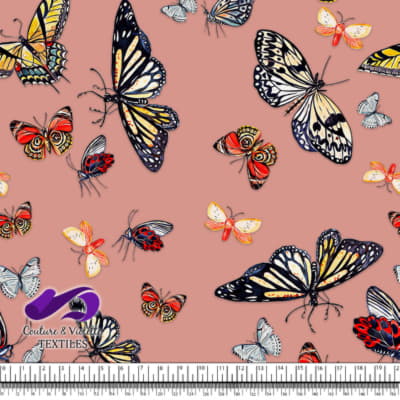 Butterflies - Desert flower