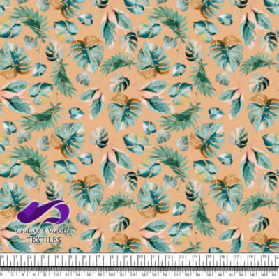 Monstera - Leaf - Pluto