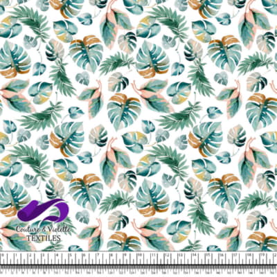 Monstera - Leaf - White