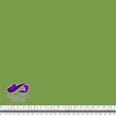 Solid color - Dollar bill green